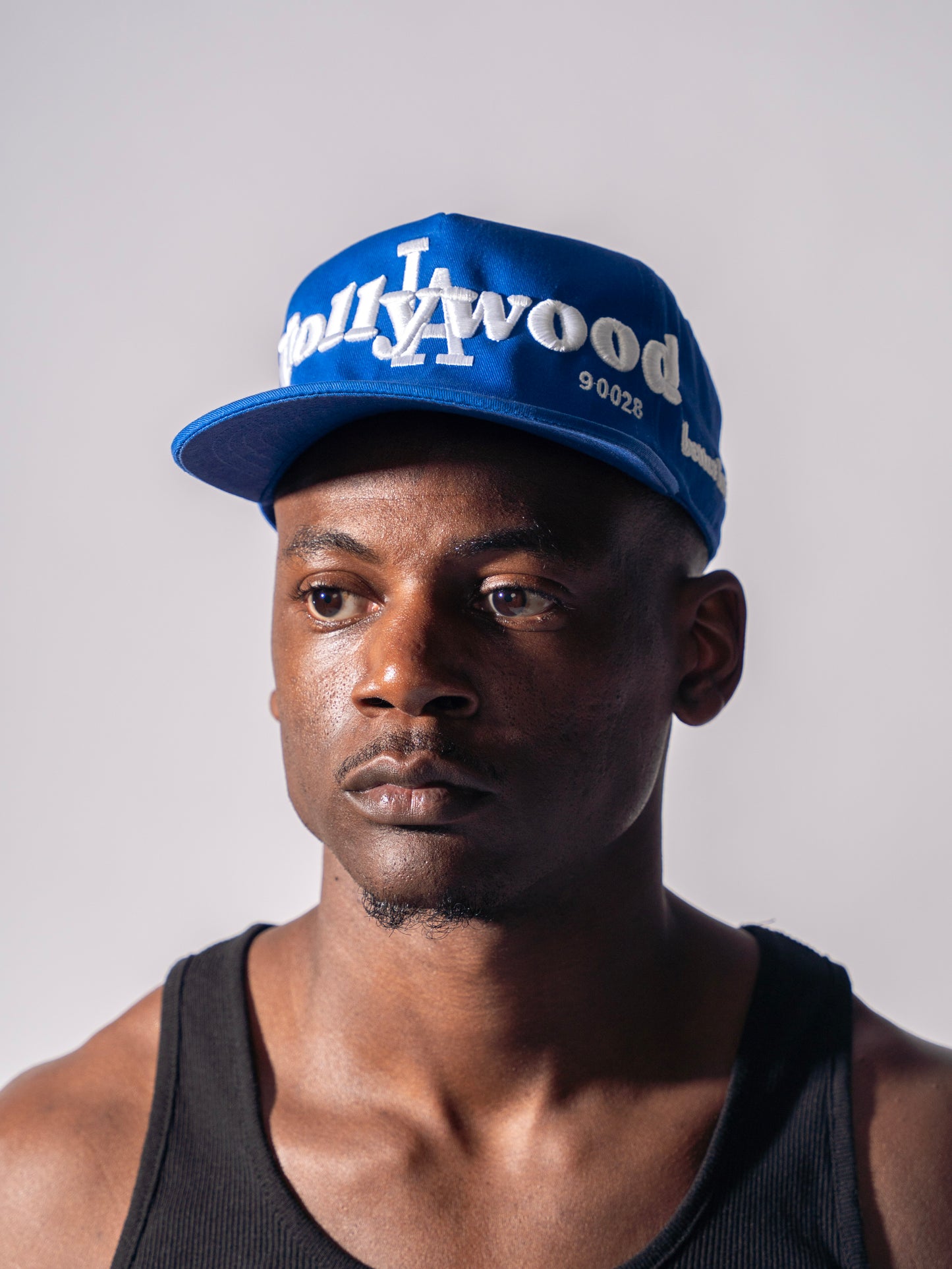 Hollywood Hat